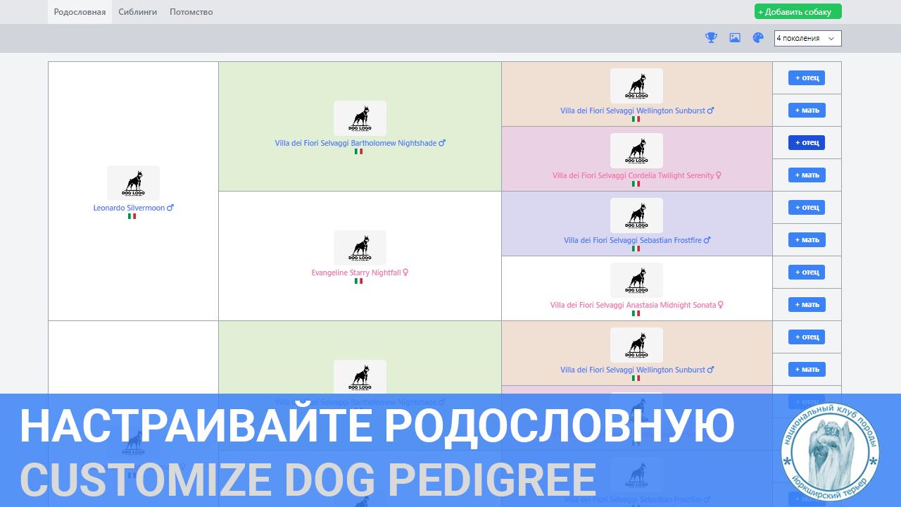 Настраивайте родословную собаки &mdash; Labaza DogPedigree YorkshireTerrier