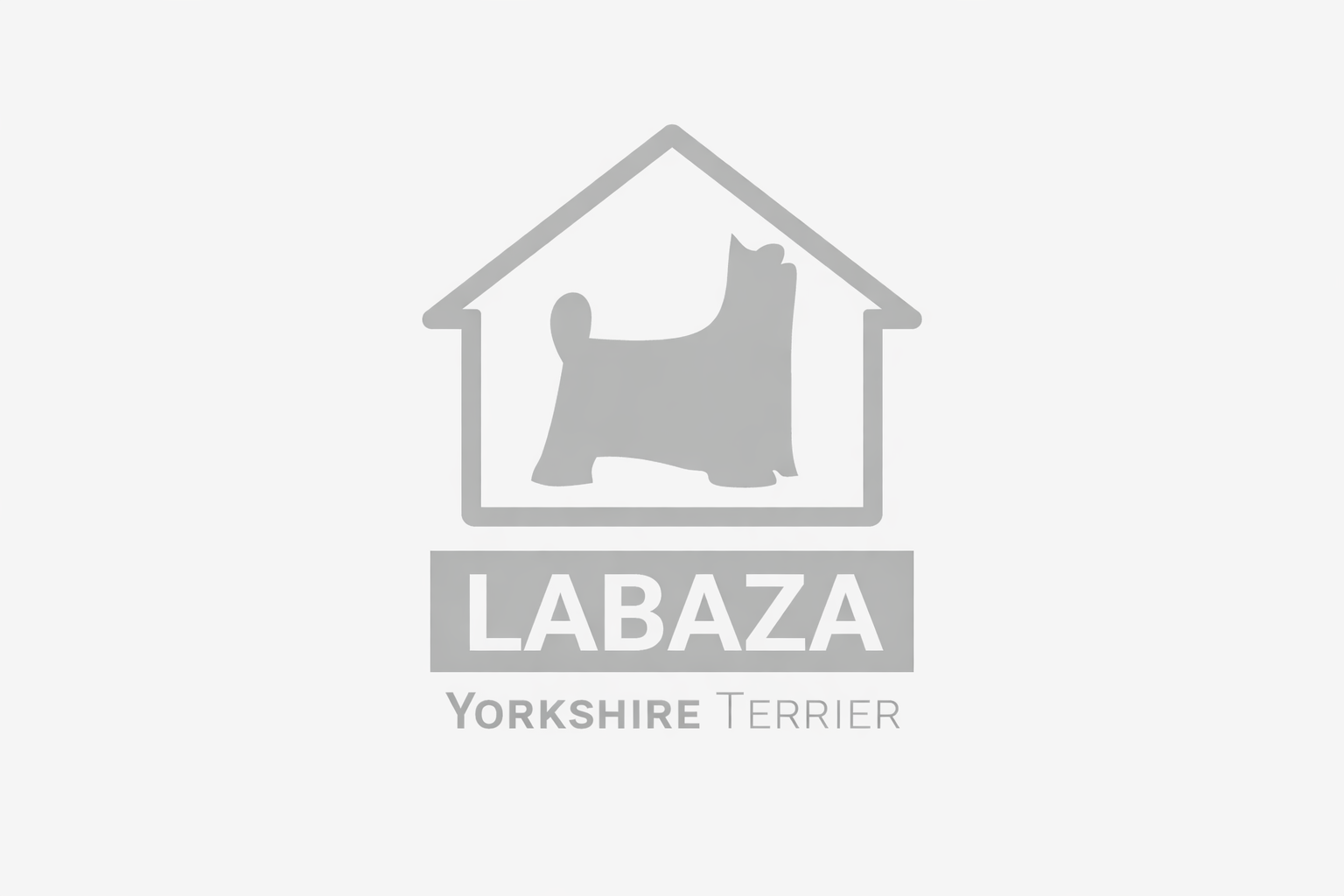 WonderfulBaby19 &mdash; Labaza DogPedigree YorkshireTerrier