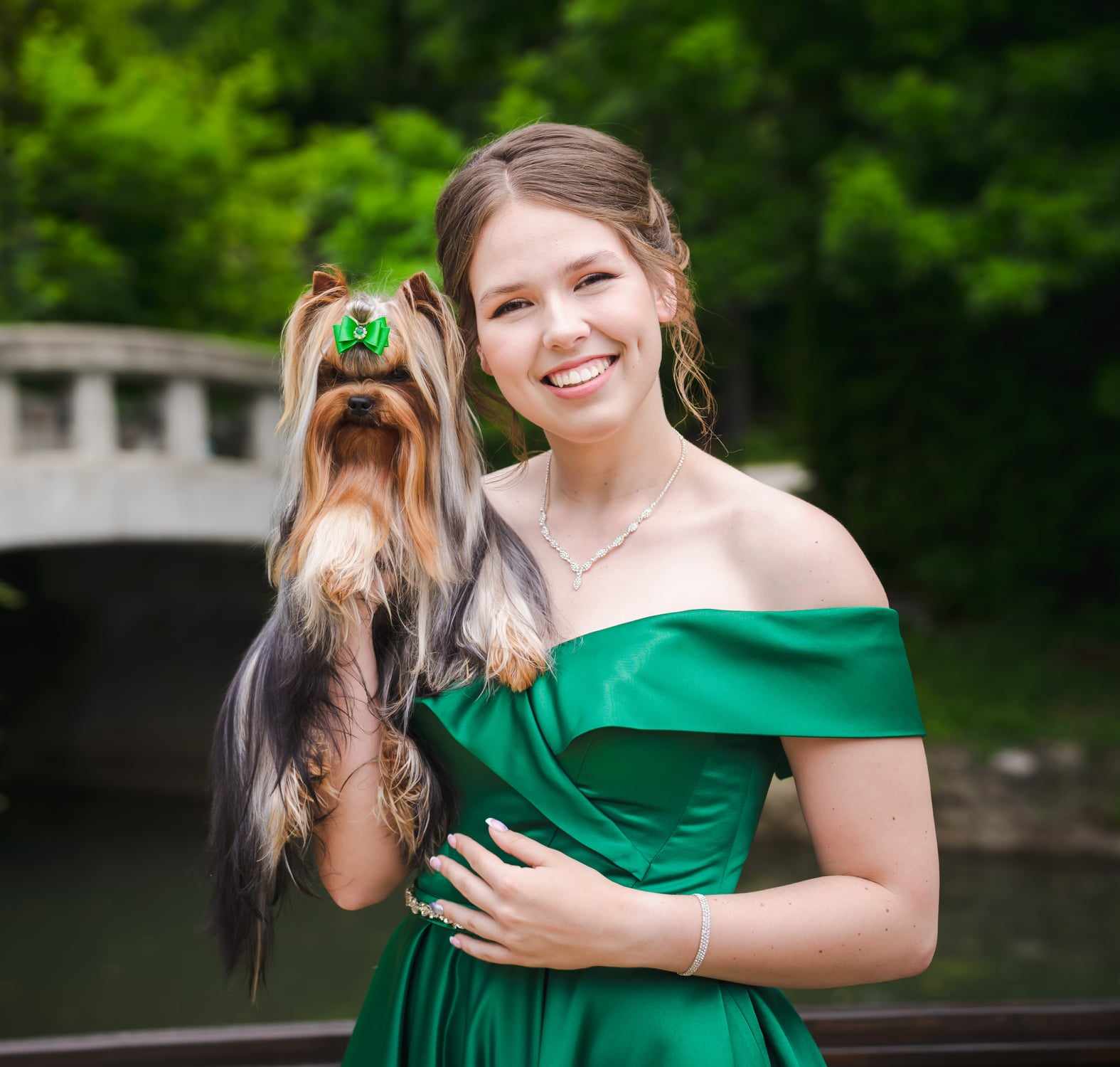 Ivayla Radkova &mdash; Labaza DogPedigree YorkshireTerrier
