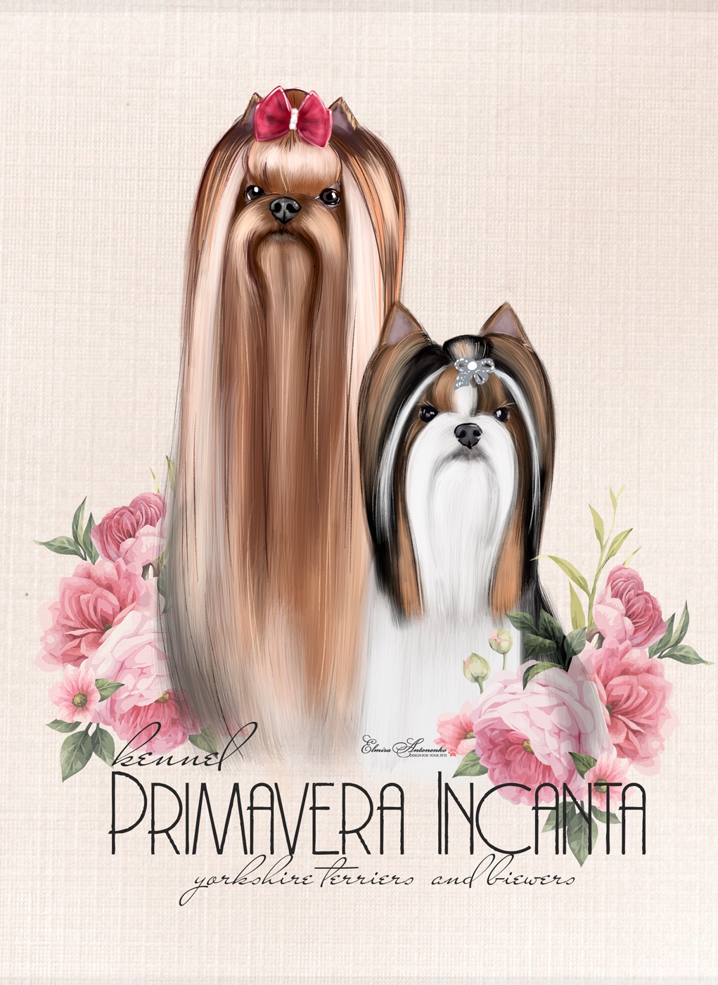 Primavera_Incanta &mdash; Labaza DogPedigree YorkshireTerrier