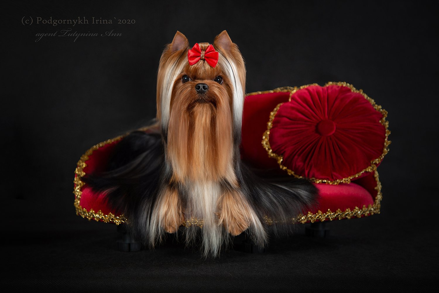 ELEGANT BAUBLES MAJOR PLAYER