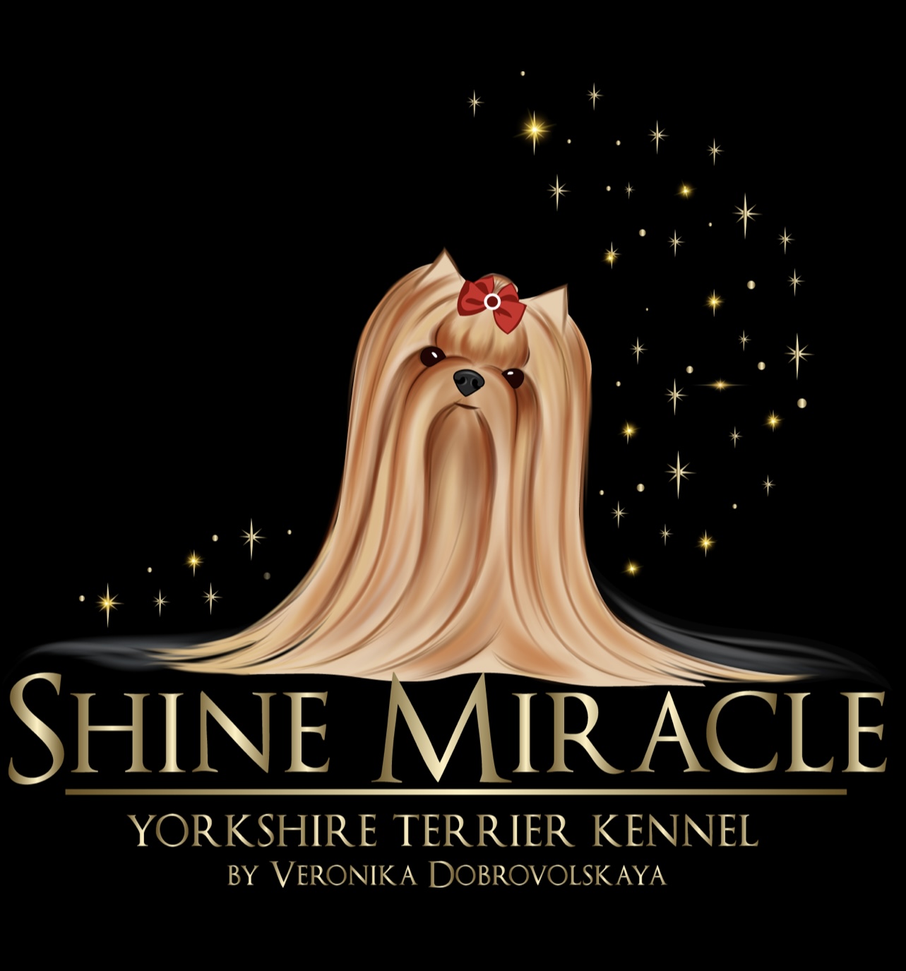 Shine Miracle &mdash; Labaza DogPedigree YorkshireTerrier