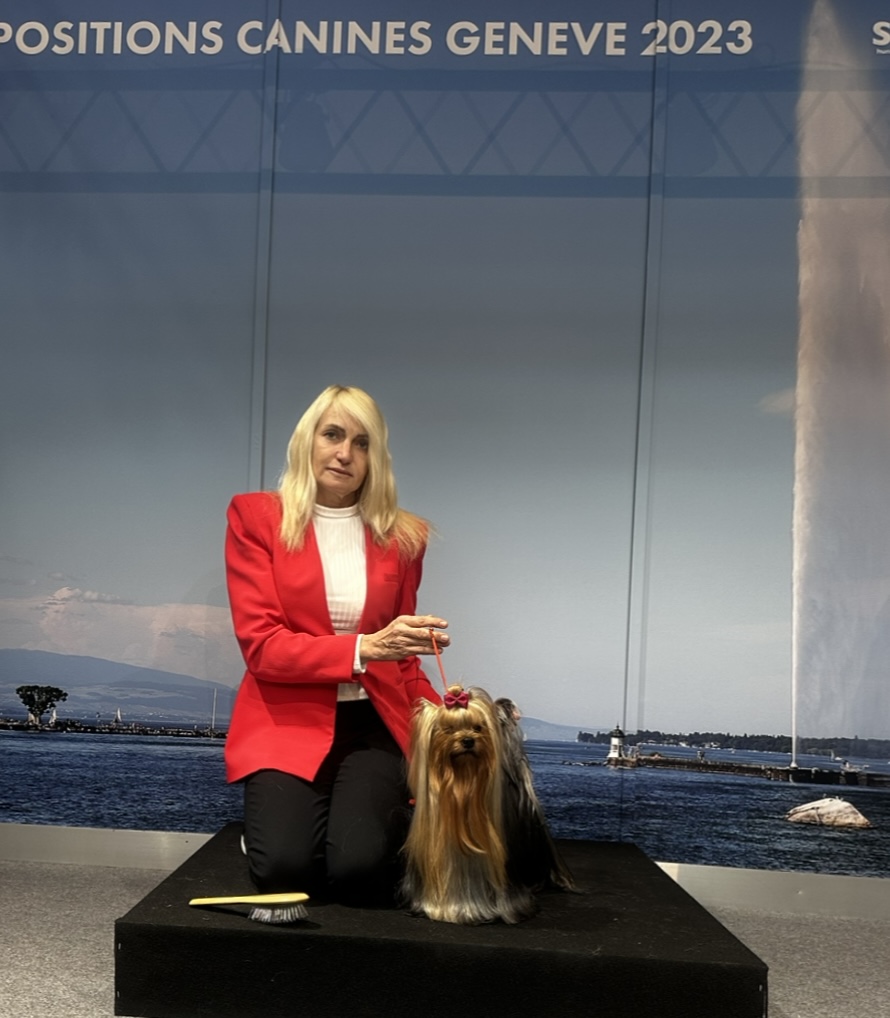 Elena Tsielepi &mdash; Labaza DogPedigree YorkshireTerrier