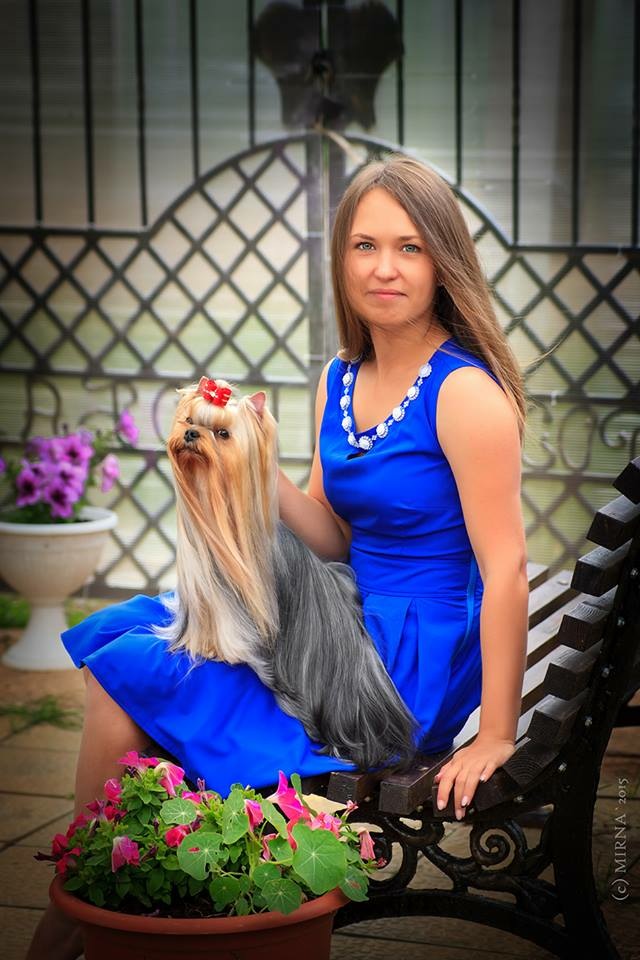 julians_style &mdash; Labaza DogPedigree YorkshireTerrier