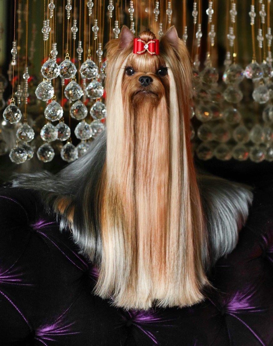 BEAUTY SHANTAL YOU ARE MY LOVE
