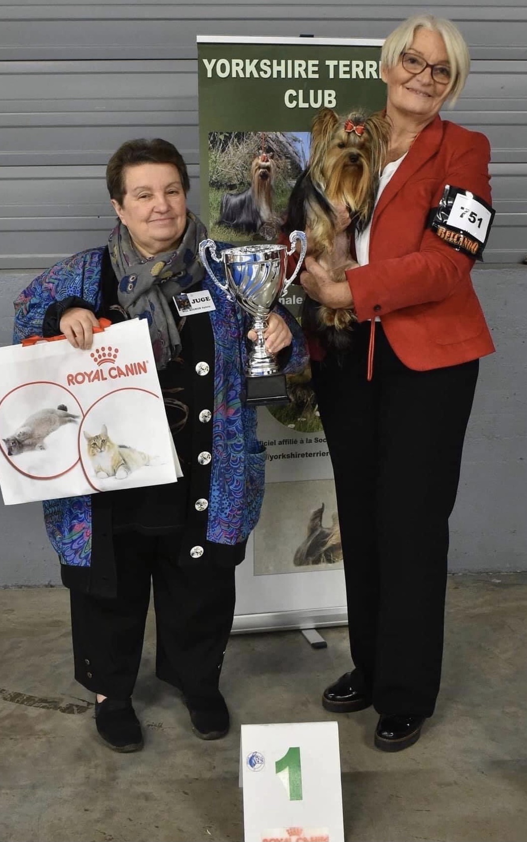 DEANJE DEANJE DIAMOND PRINCESS &mdash; Labaza DogPedigree YorkshireTerrier