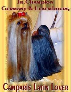 CAMPARIS LATIN LOVER