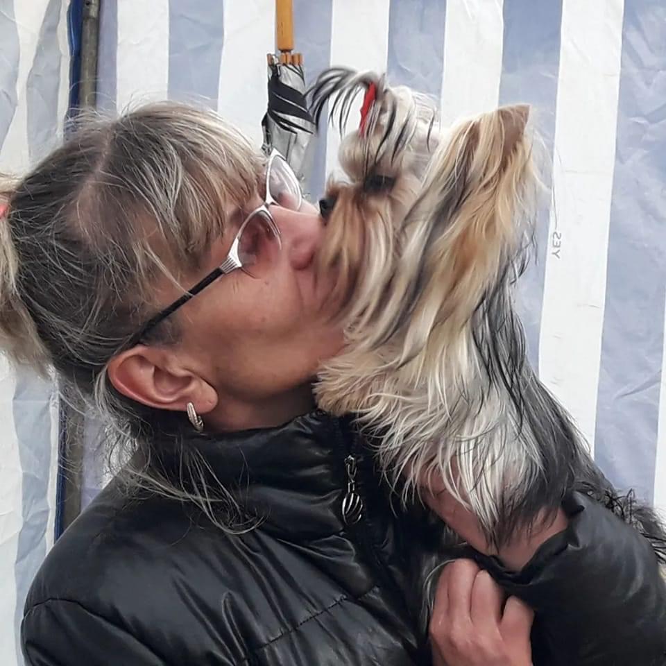 VENERA &mdash; Labaza DogPedigree YorkshireTerrier