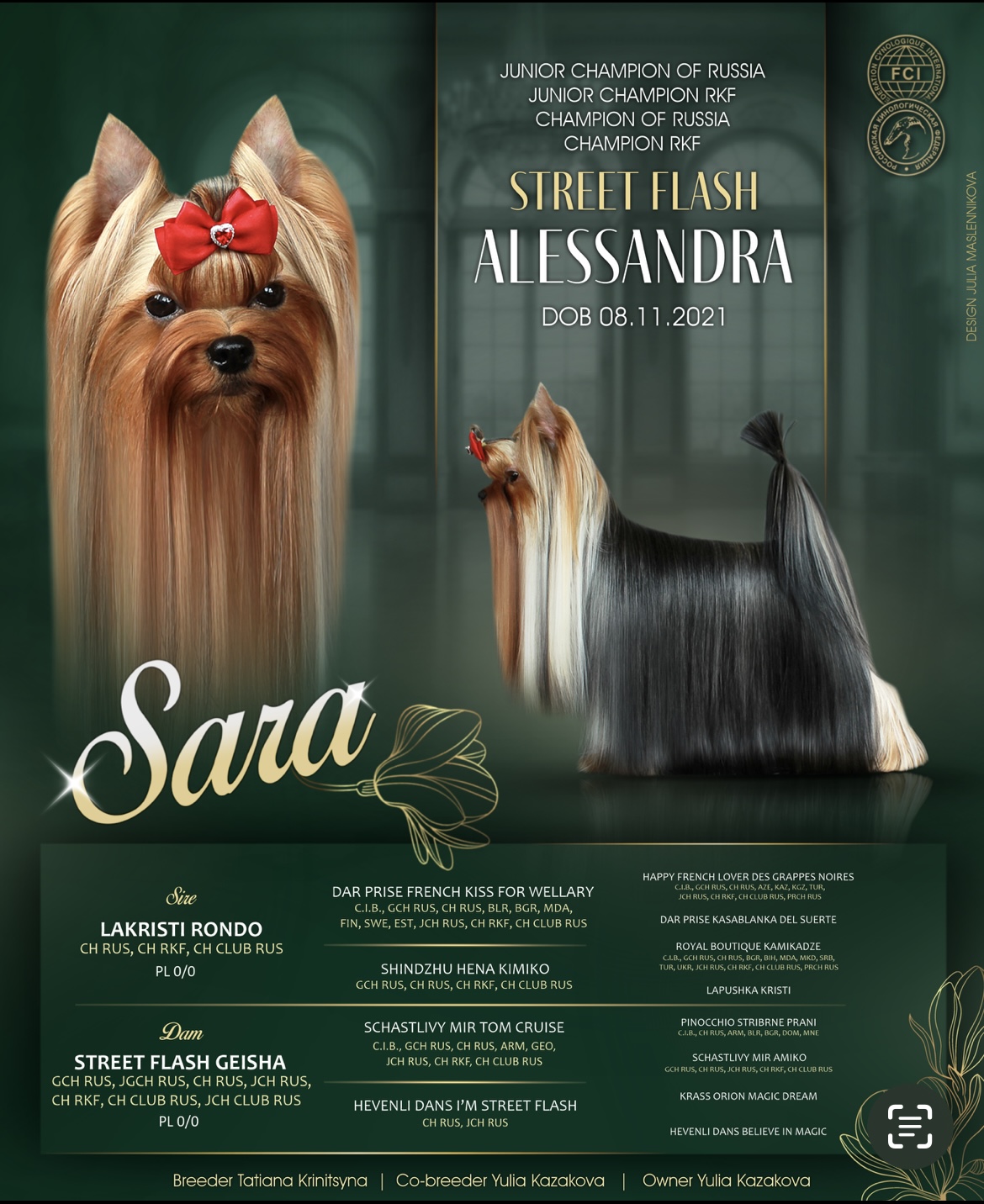 STREET FLASH ALESSANDRA &mdash; Labaza DogPedigree YorkshireTerrier