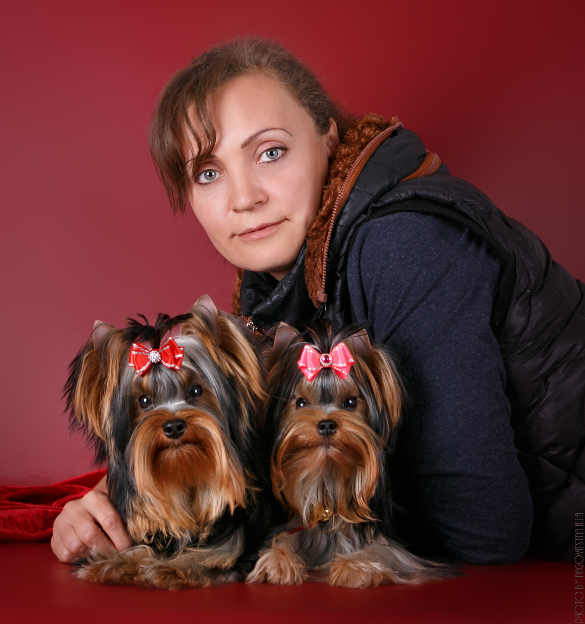 Magnus Fortuna &mdash; Labaza DogPedigree YorkshireTerrier