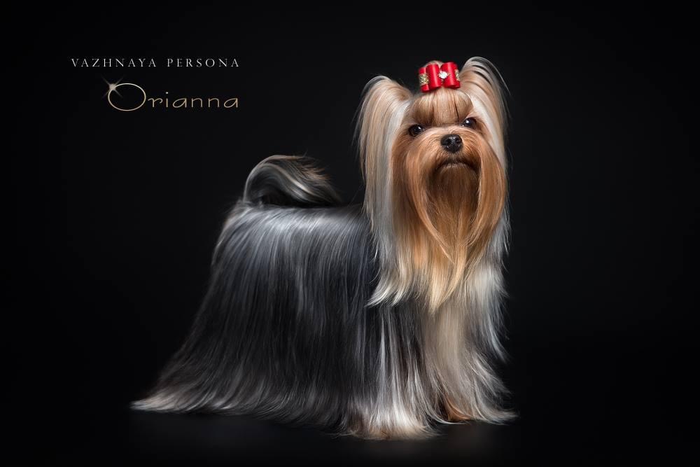 Vazhnaya Persona Orianna