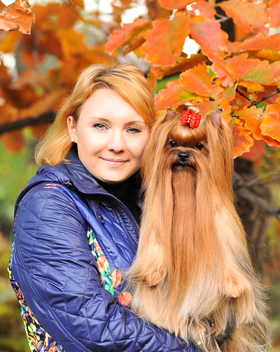 Mal Zolotnik &mdash; Labaza DogPedigree YorkshireTerrier