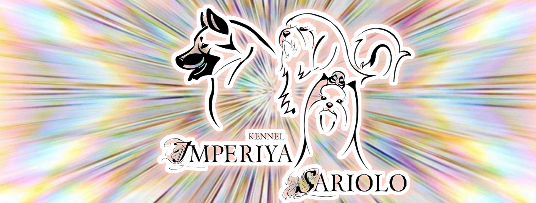 ImperiyaSariolo &mdash; Labaza DogPedigree YorkshireTerrier