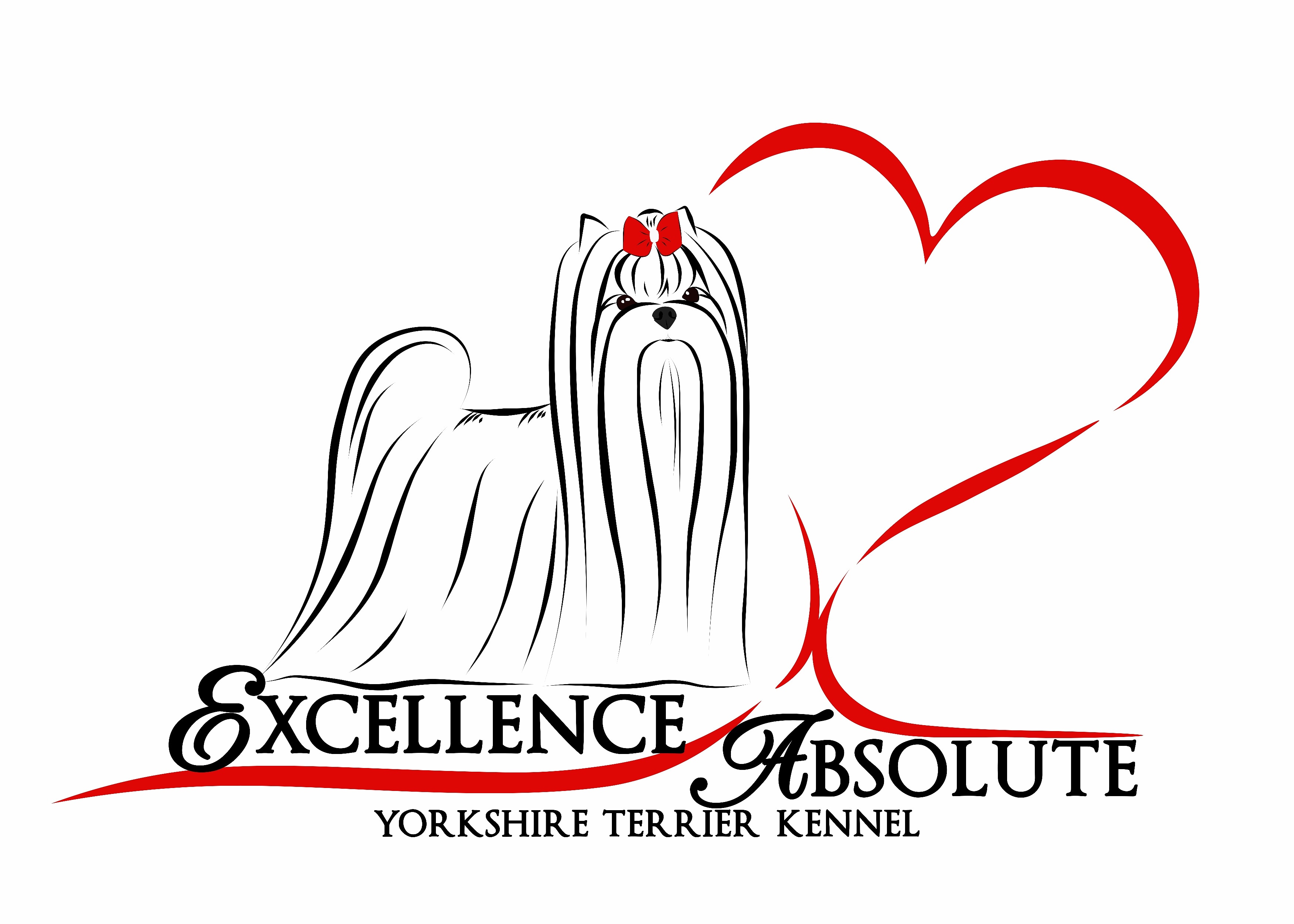 EXCELLENCE ABSOLUTE &mdash; Labaza DogPedigree YorkshireTerrier