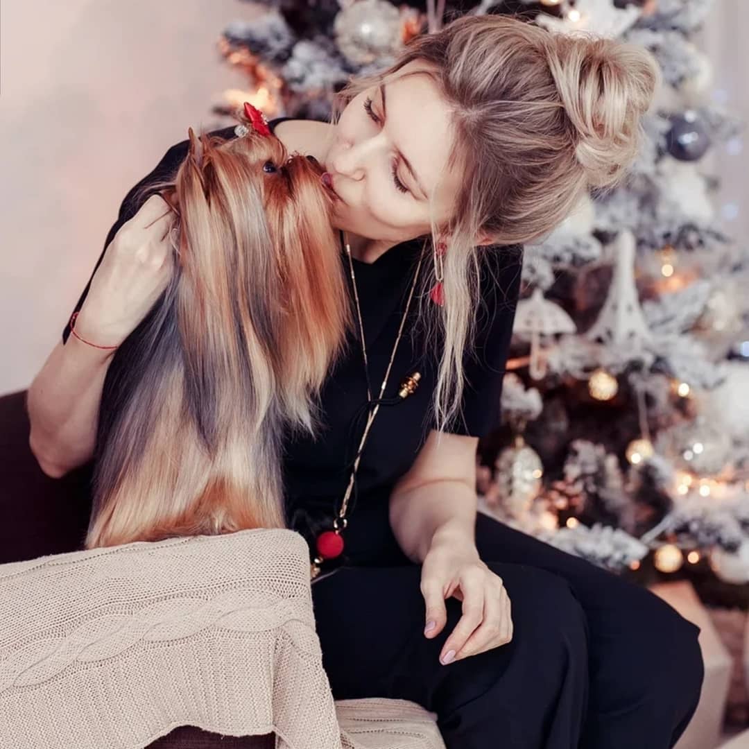 EXCELLENCE ABSOLUTE &mdash; Labaza DogPedigree YorkshireTerrier