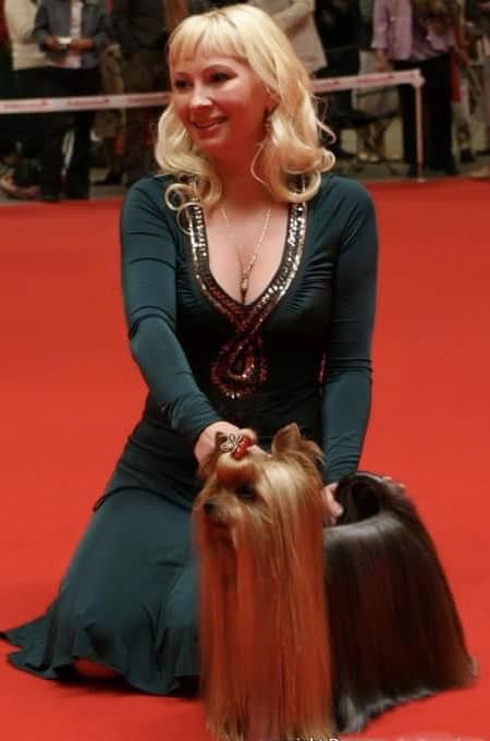 Emma`s Caprice &mdash; Labaza DogPedigree YorkshireTerrier
