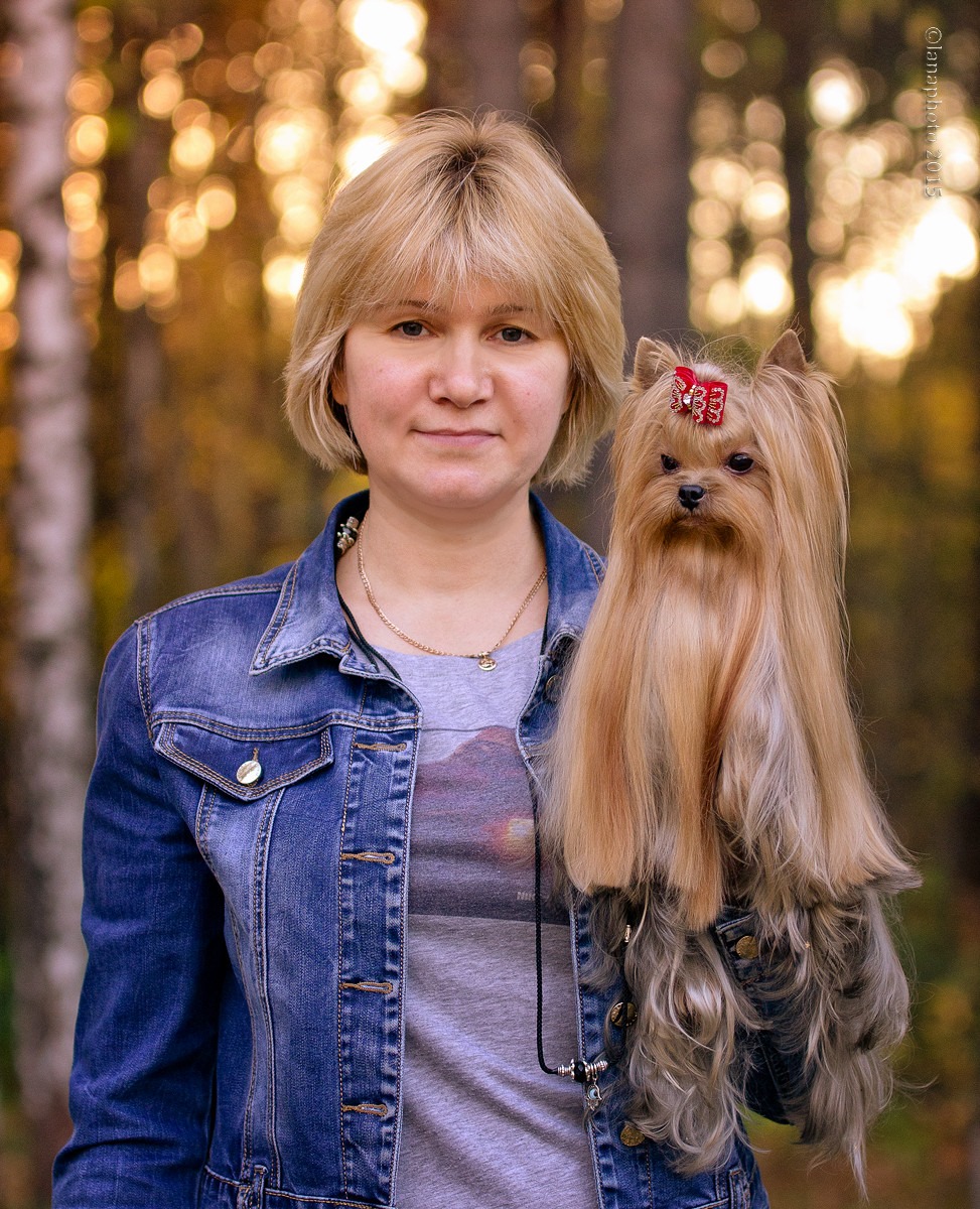 Lara1 &mdash; Labaza DogPedigree YorkshireTerrier