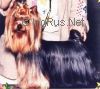 AERO'S I LOVE LUCY