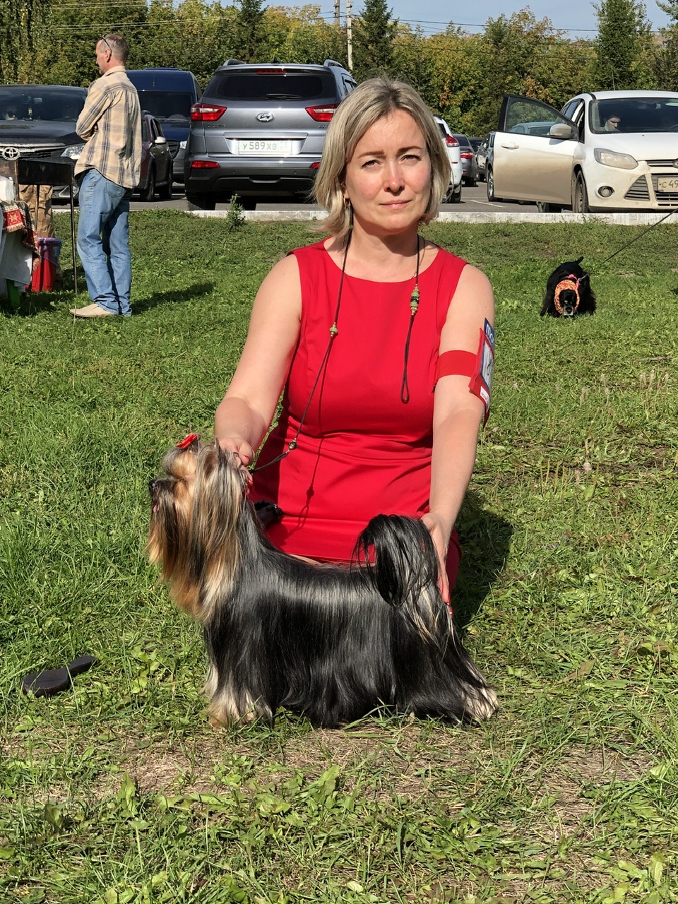 L’Yana De Vista L’YANA DE VISTA REGAL STANCE &mdash; Labaza DogPedigree YorkshireTerrier