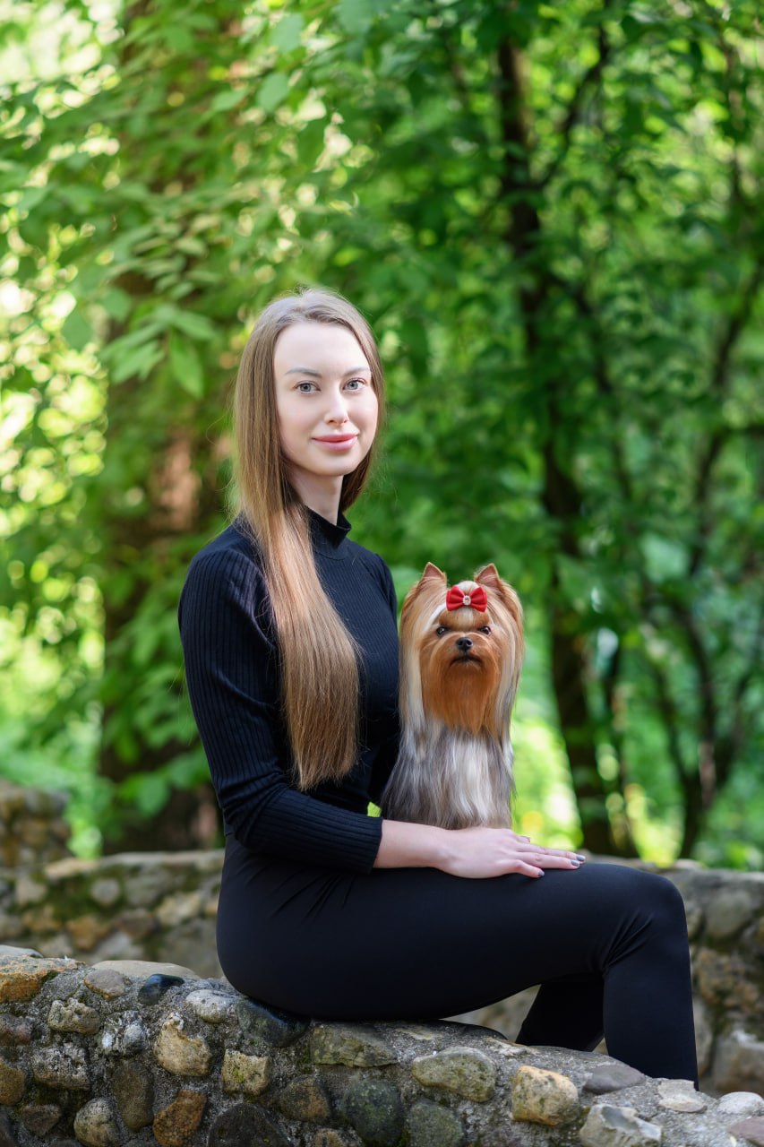 Anymarish &mdash; Labaza DogPedigree YorkshireTerrier