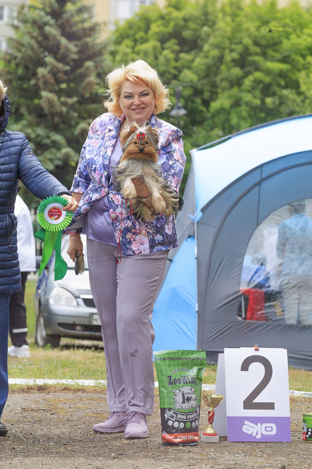 natali10 &mdash; Labaza DogPedigree YorkshireTerrier
