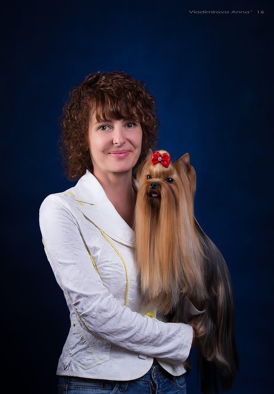 Marnatis &mdash; Labaza DogPedigree YorkshireTerrier