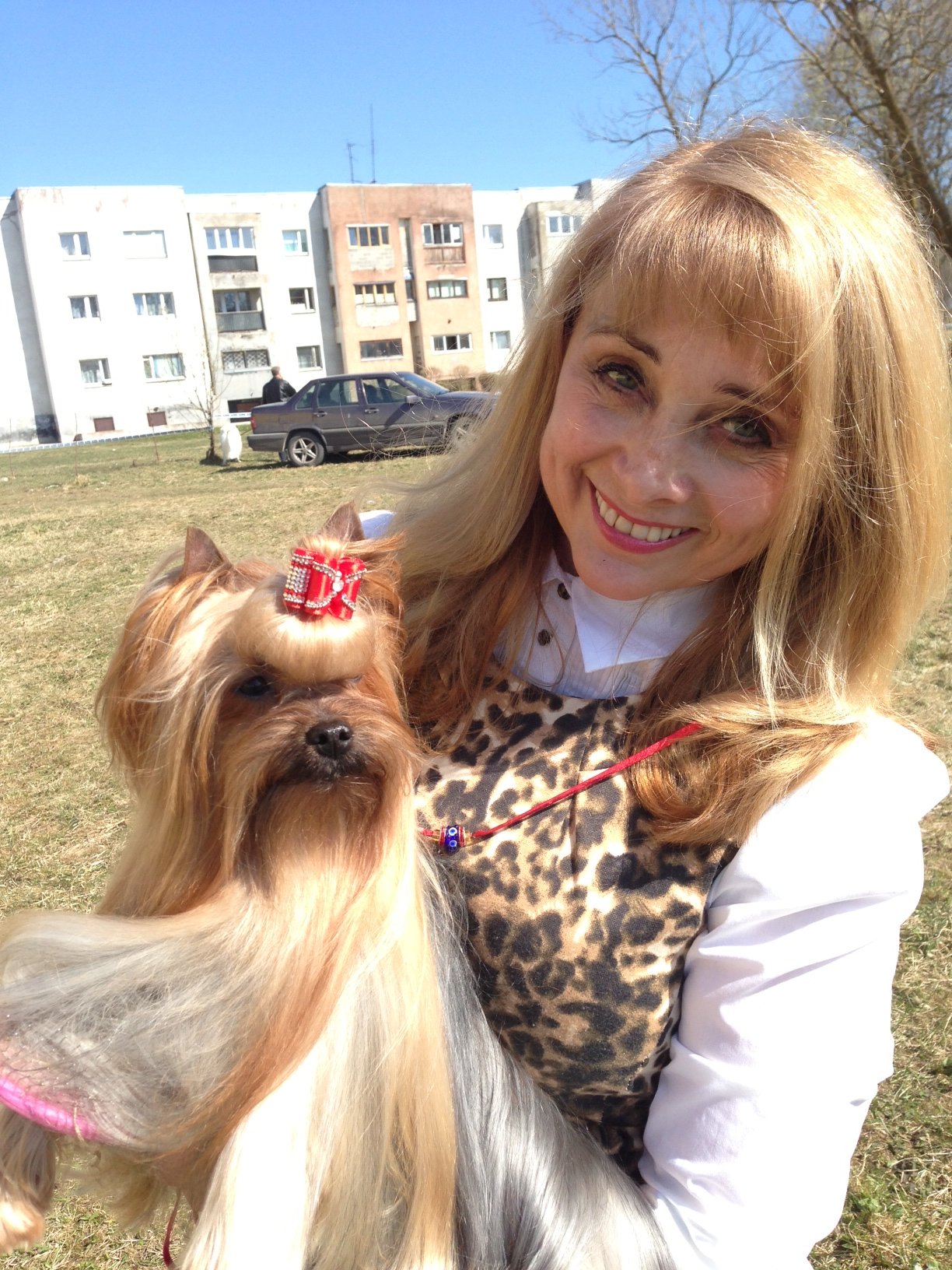 Smilain &mdash; Labaza DogPedigree YorkshireTerrier