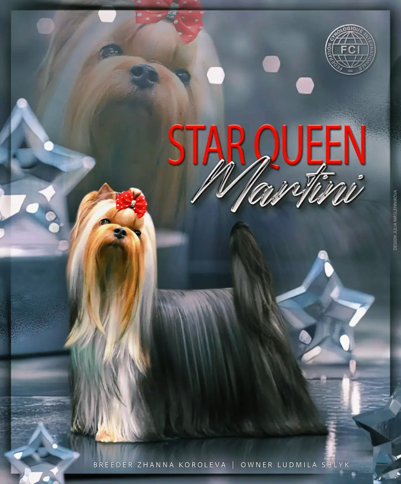 STAR QUEEN MARTINI &mdash; Labaza DogPedigree YorkshireTerrier