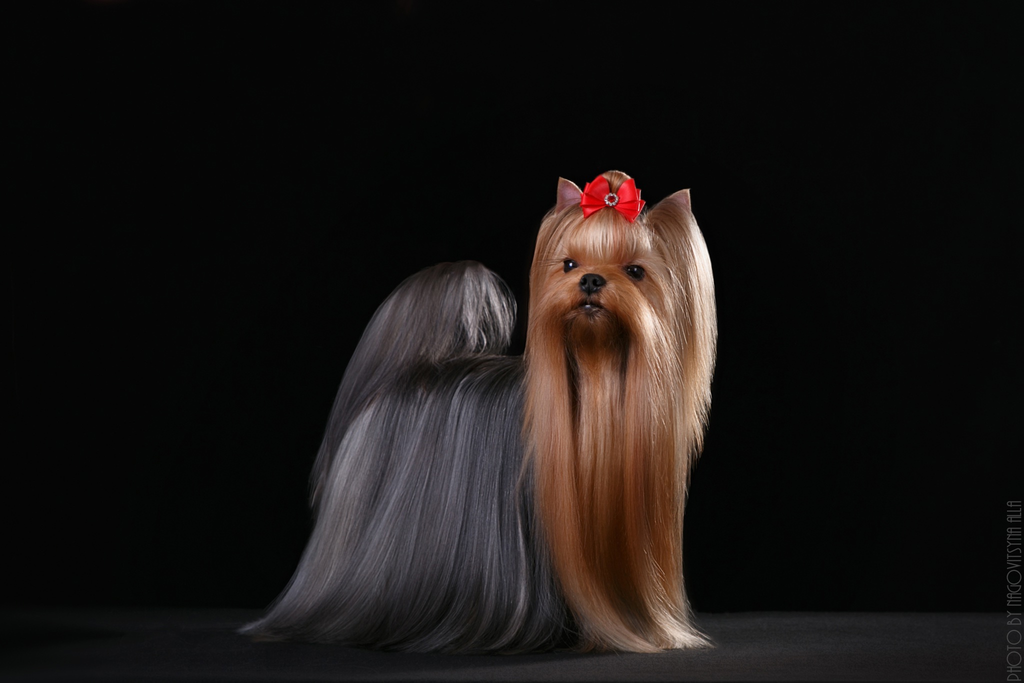 DE LUX MARYI ROX BARBY BEAUTIFUL