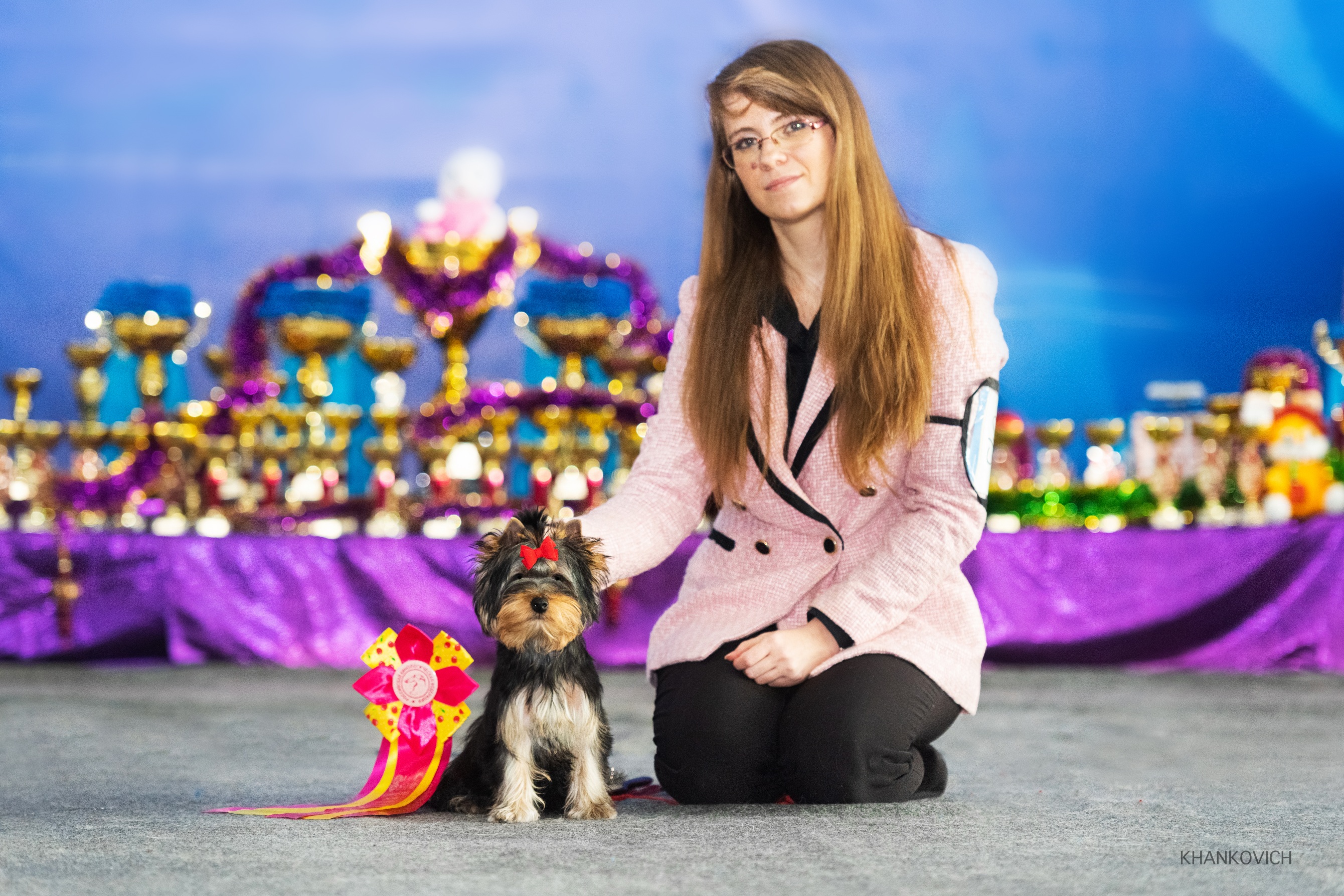 Manris Le Bri MANRIS LE BRI KING LIVE PLAYING &mdash; Labaza DogPedigree YorkshireTerrier
