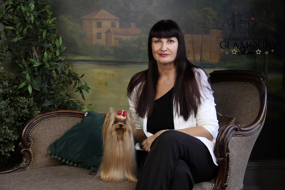 glamour_show &mdash; Labaza DogPedigree YorkshireTerrier