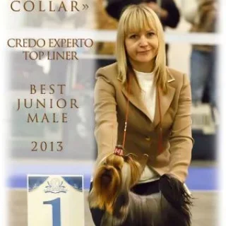 CREDO EXPERTO TOP LINER
