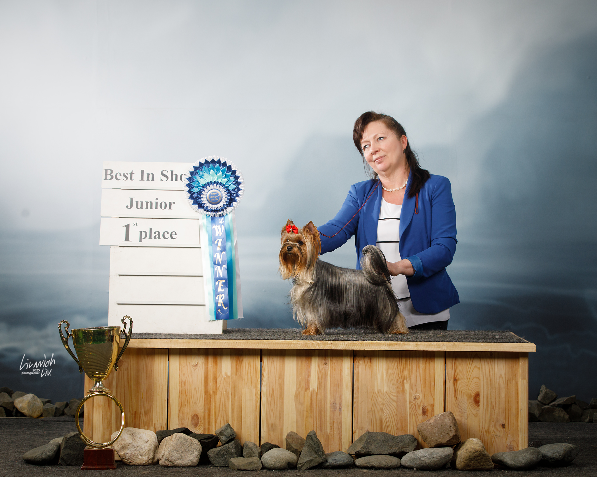  LE BELLA MEISI &mdash; Labaza DogPedigree YorkshireTerrier
