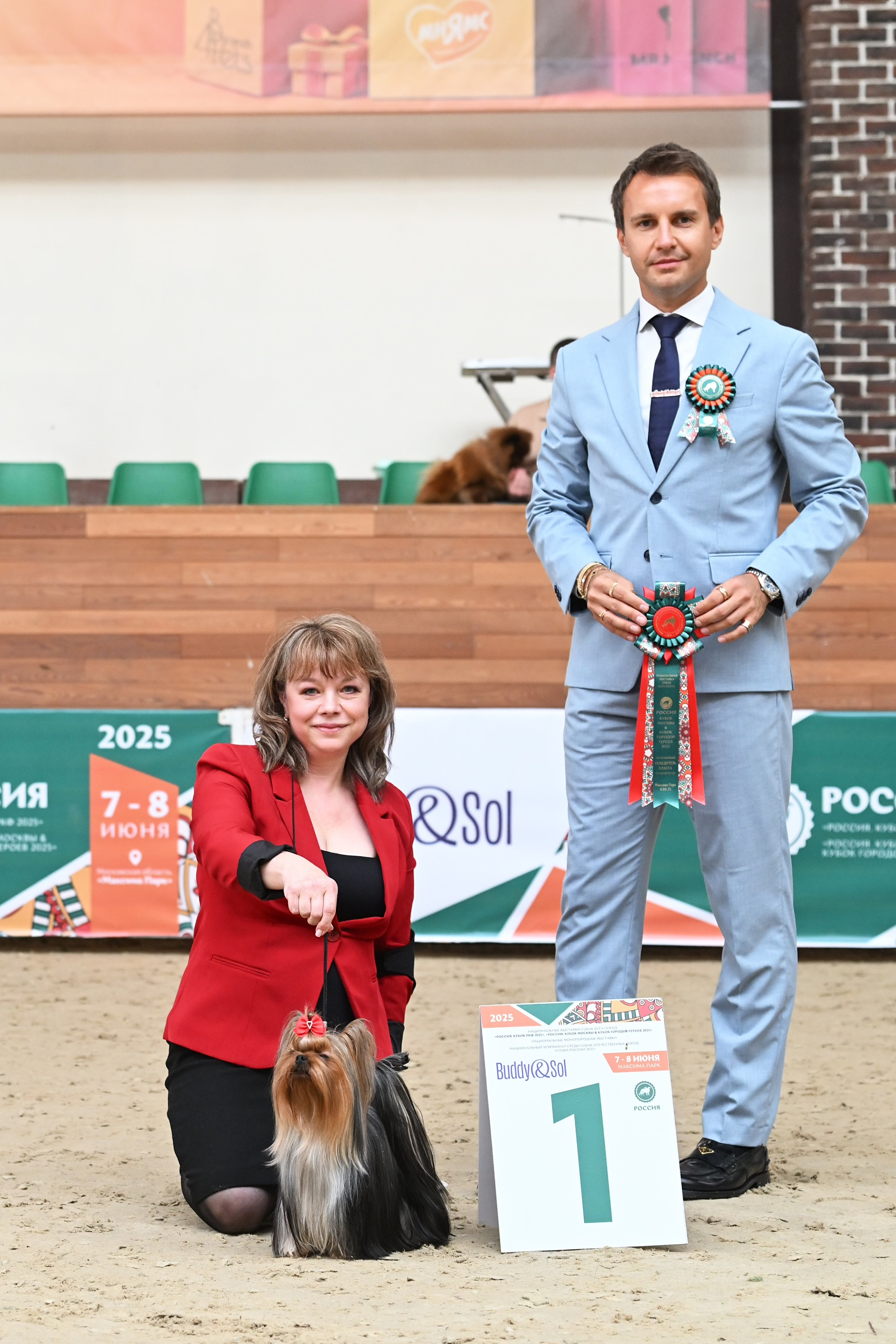 Star Queen STAR QUEEN MOANA &mdash; Labaza DogPedigree YorkshireTerrier