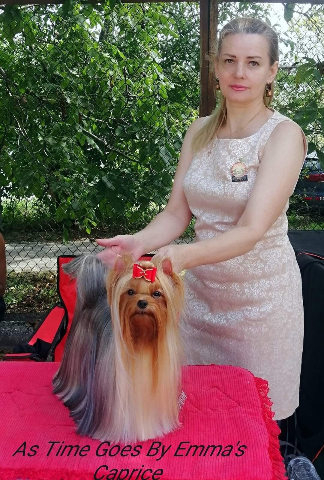 Emma`s Caprice AS TIME GOES BY EMMA'S CAPRICE &mdash; Labaza DogPedigree YorkshireTerrier