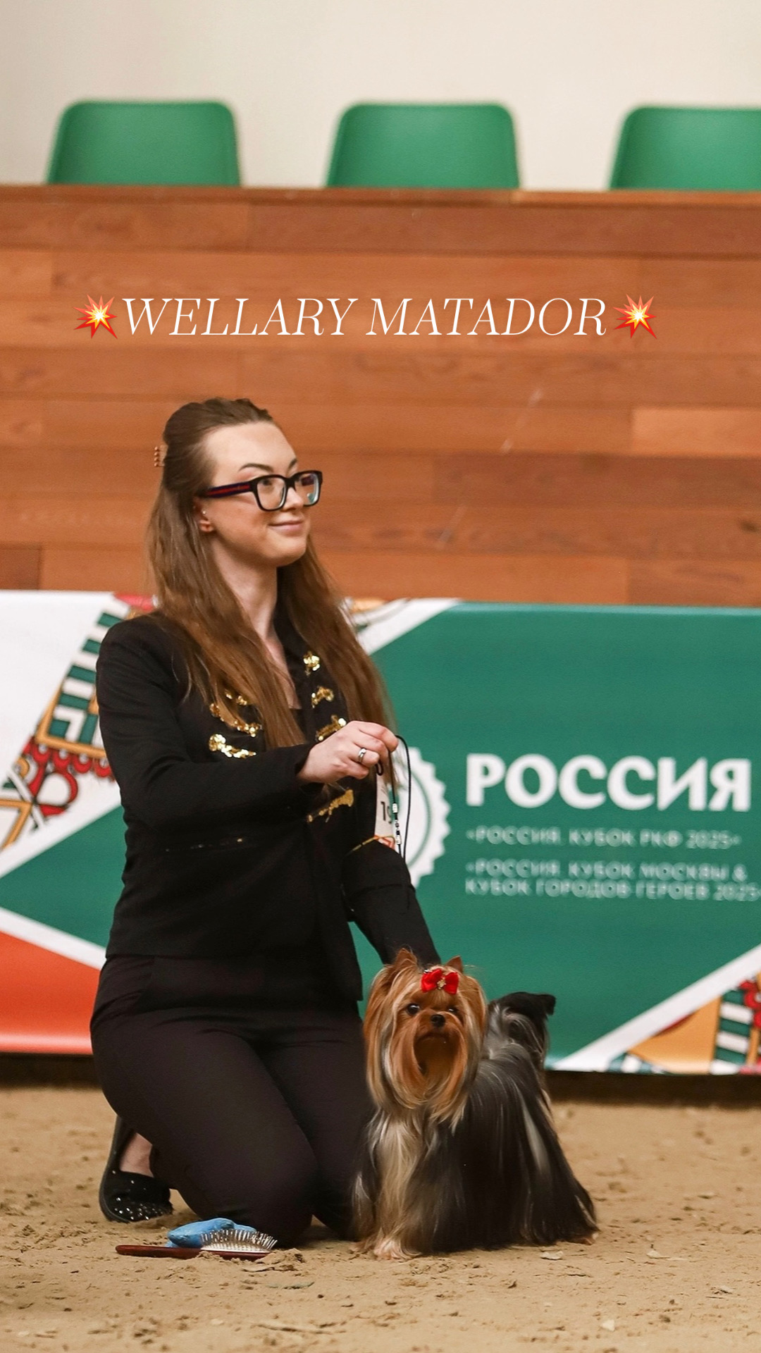 Wellary WELLARY MATADOR &mdash; Labaza DogPedigree YorkshireTerrier