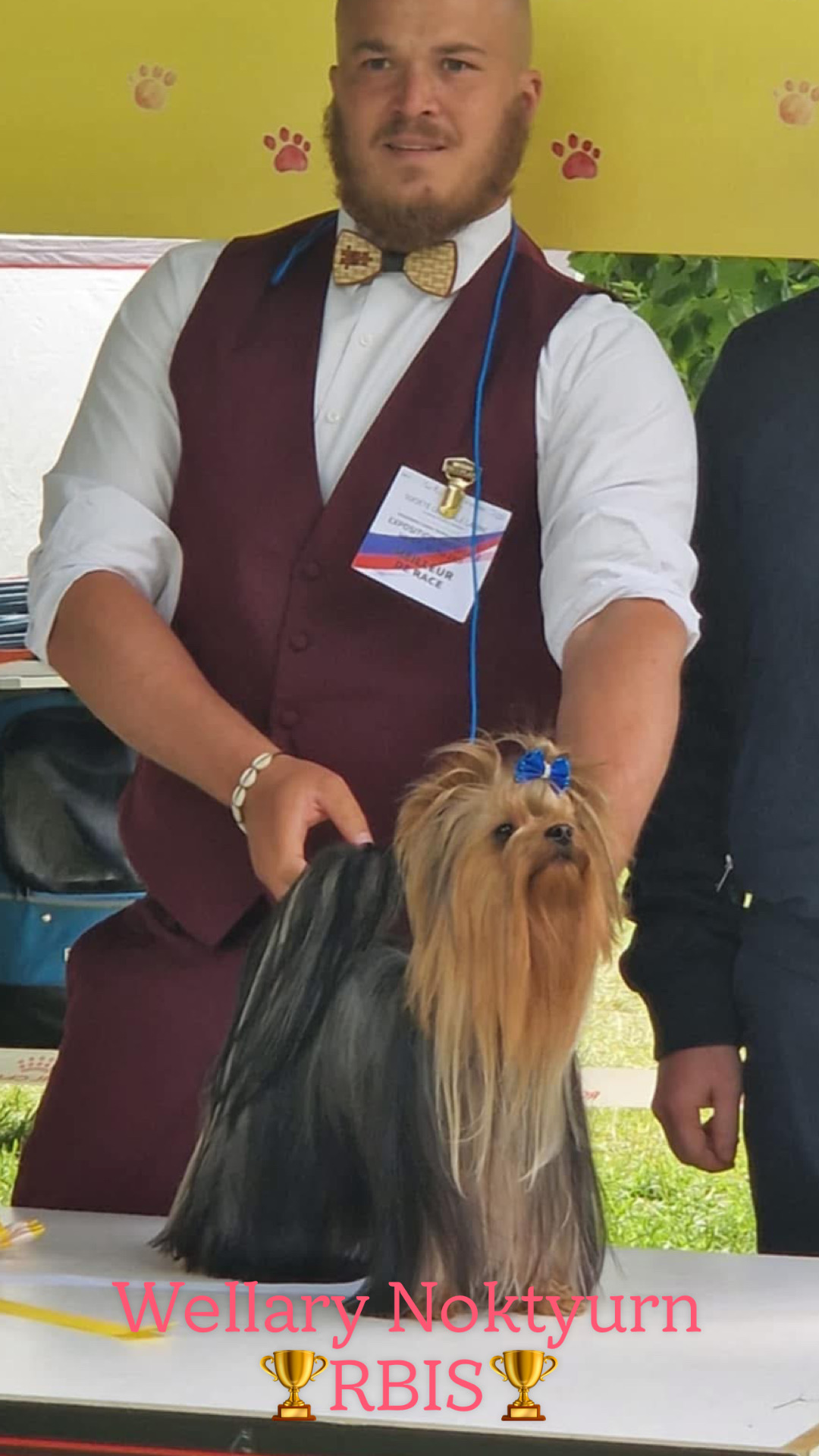 Wellary WELLARY NOKTYURN &mdash; Labaza DogPedigree YorkshireTerrier