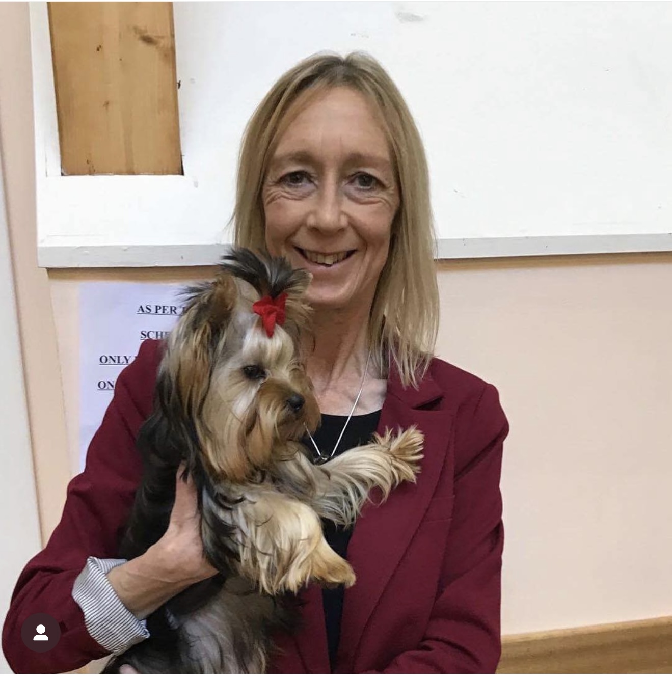 DEANJE DEANJE AMBITION &mdash; Labaza DogPedigree YorkshireTerrier