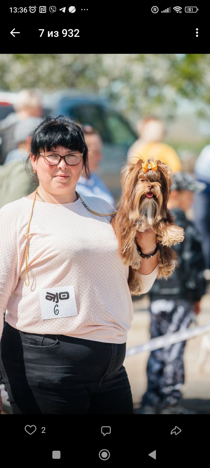 Bestfil &mdash; Labaza DogPedigree YorkshireTerrier