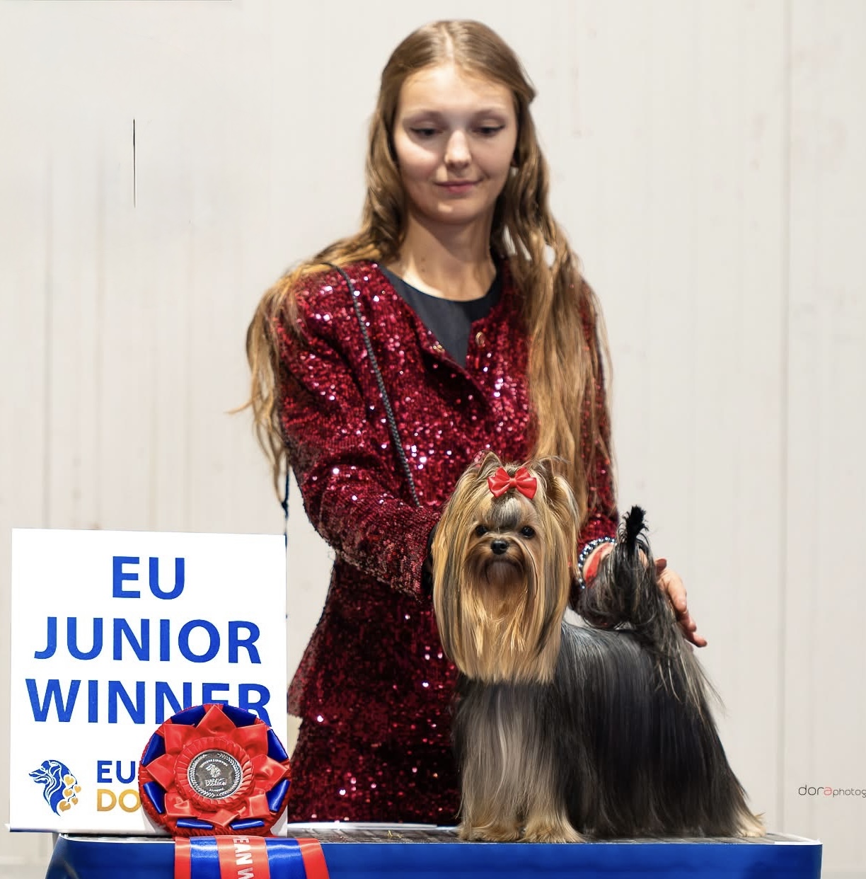 I LOVE YOU SHARBEST &mdash; Labaza DogPedigree YorkshireTerrier