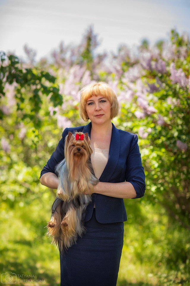 Ирина &mdash; Labaza DogPedigree YorkshireTerrier