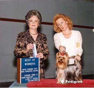 PARKSIDE'S SILHOUETTE &mdash; Labaza DogPedigree YorkshireTerrier