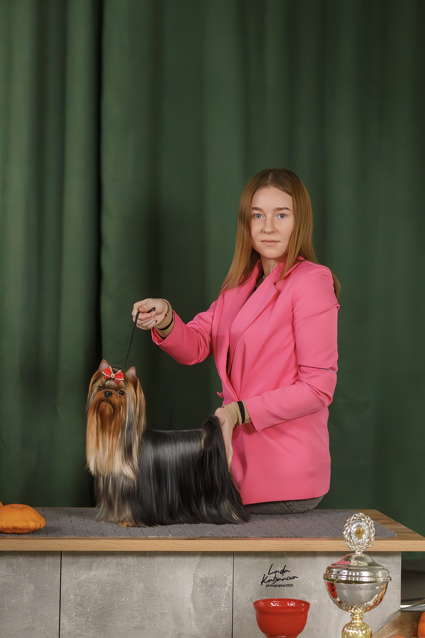ARINABAKLAGA &mdash; Labaza DogPedigree YorkshireTerrier