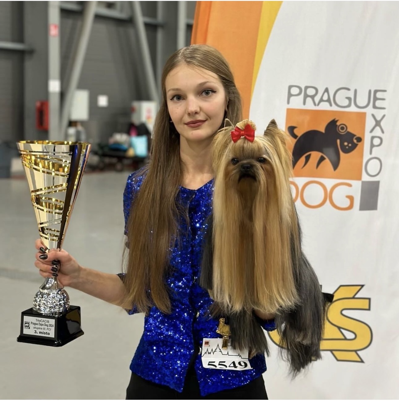 DEANJE DEANJE RENDEZVOUS WITH PASSION &mdash; Labaza DogPedigree YorkshireTerrier