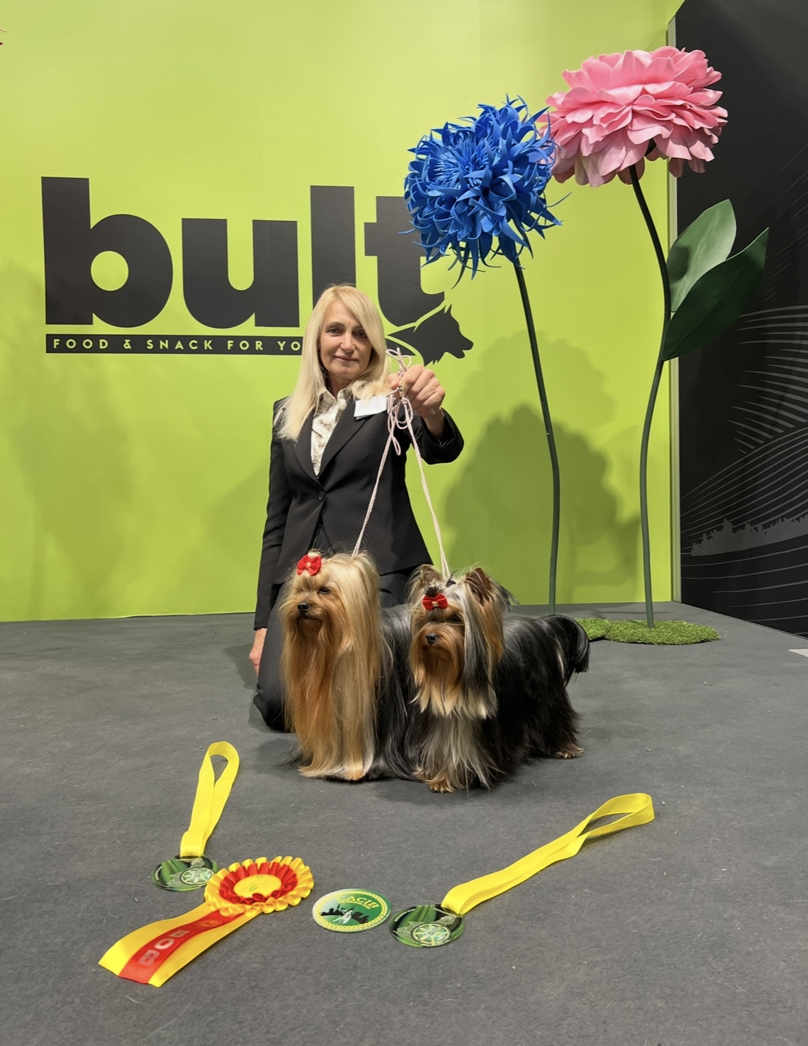 Elena Tsielepi &mdash; Labaza DogPedigree YorkshireTerrier