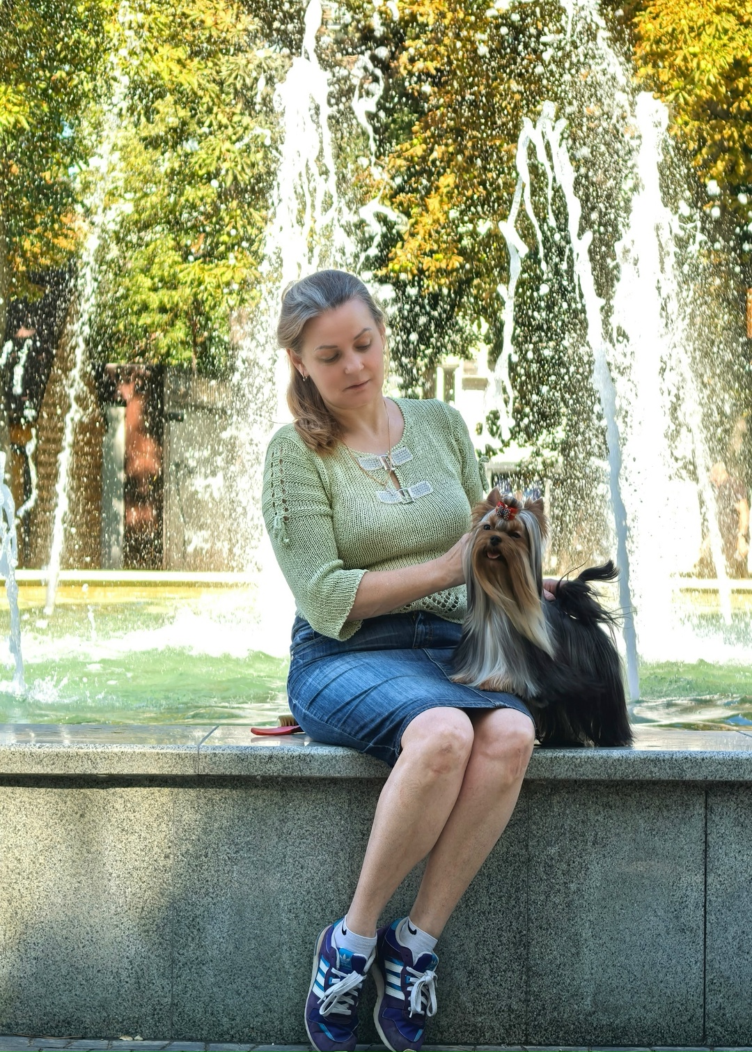 Emma`s Caprice OPEN TO MY HEART EMMA'S CAPRICE &mdash; Labaza DogPedigree YorkshireTerrier