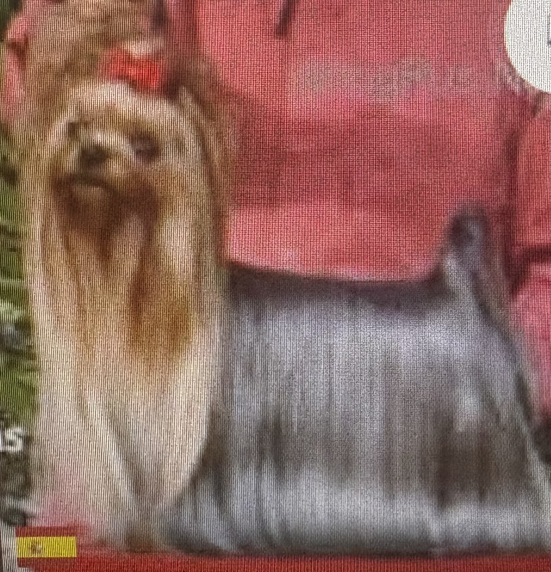  ESTUGO'S DARK ANGEL &mdash; Labaza DogPedigree YorkshireTerrier