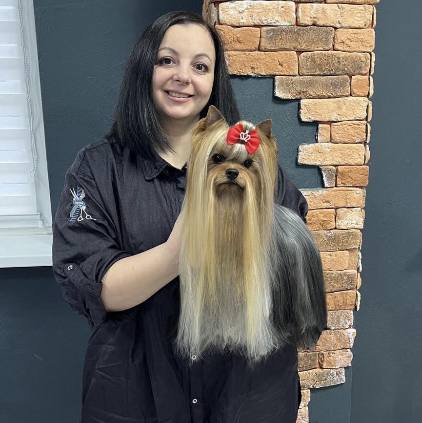 credo_experto_kennel &mdash; Labaza DogPedigree YorkshireTerrier