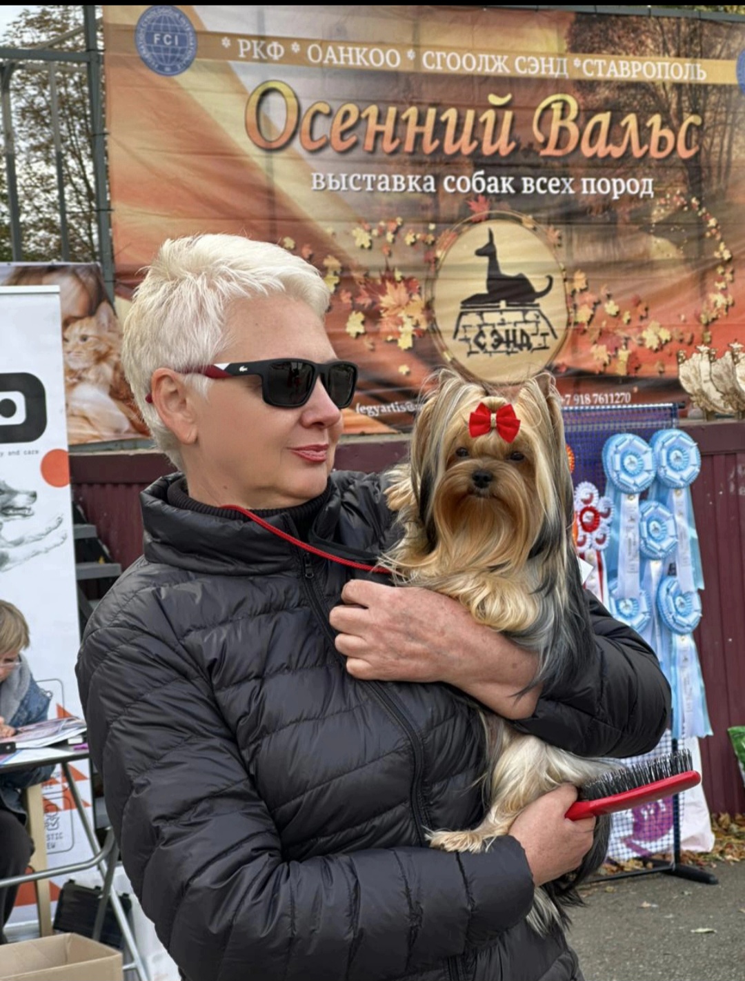 Виктория Демина &mdash; Labaza DogPedigree YorkshireTerrier
