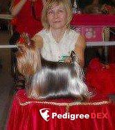 KIANA EVANDER